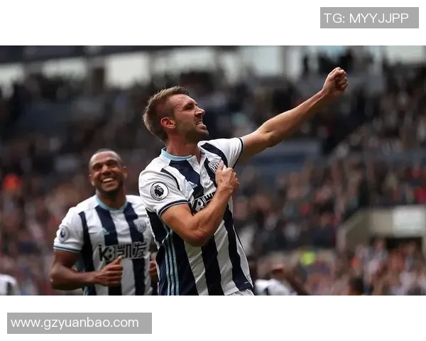 埃弗顿与西布朗精彩对决回放全程回顾与分析 埃弗顿与西布朗精彩对决回放全程回顾与分析