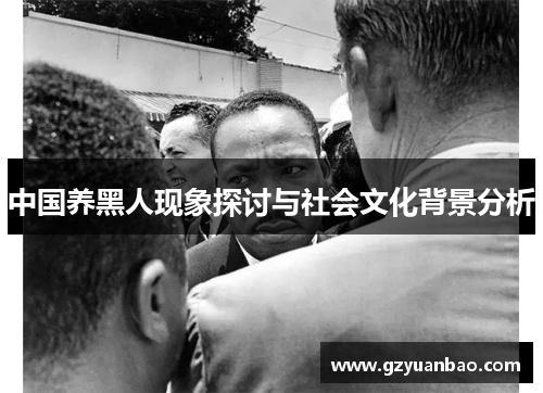中国养黑人现象探讨与社会文化背景分析