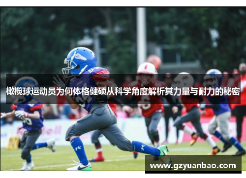 橄榄球运动员为何体格健硕从科学角度解析其力量与耐力的秘密