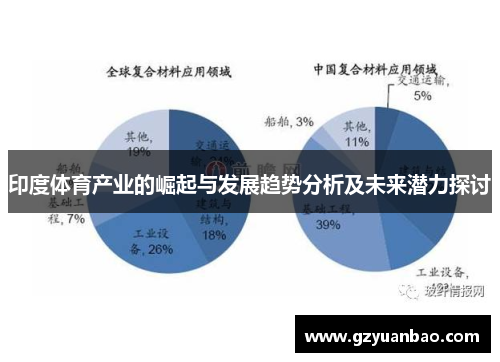 印度体育产业的崛起与发展趋势分析及未来潜力探讨